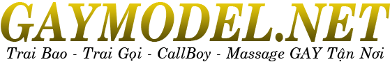 Logo GAYMODEL
