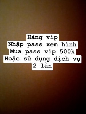 Vỹ model
